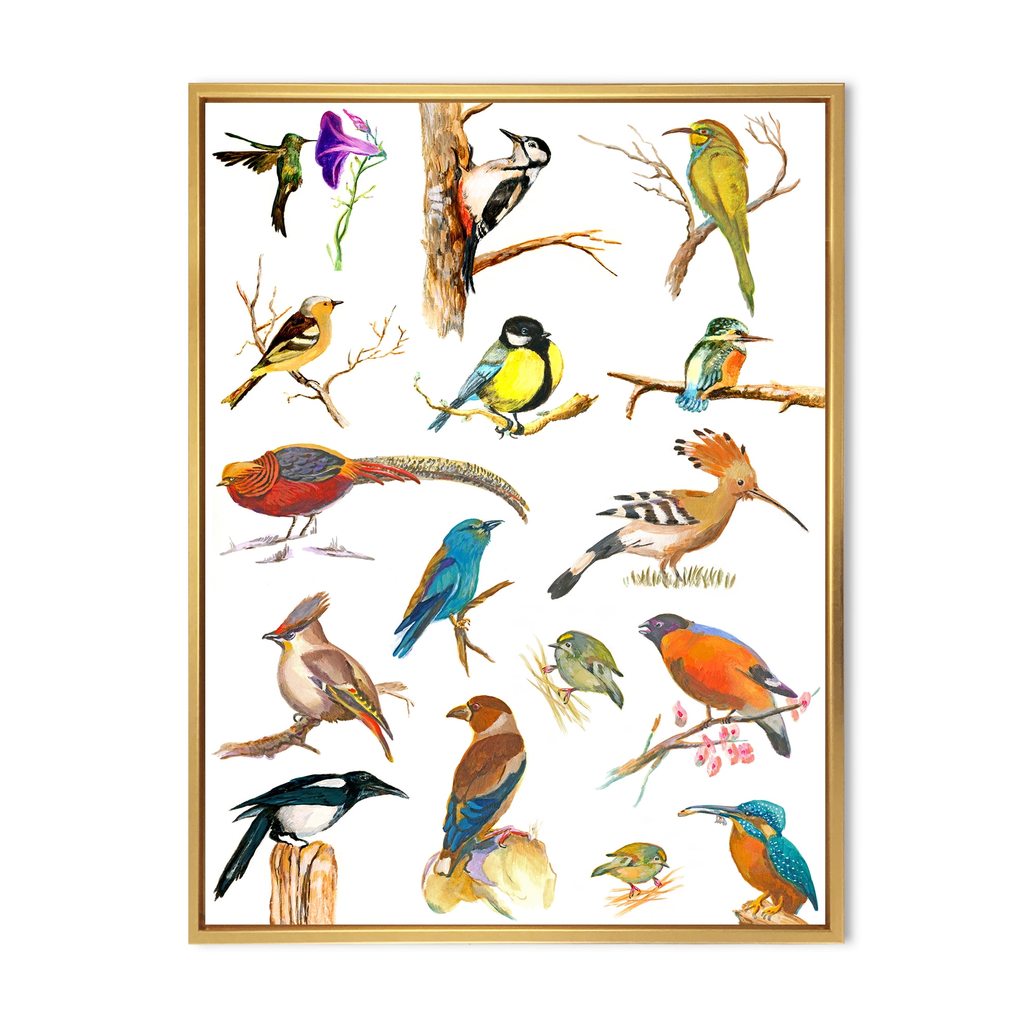 Designart 'Vital Colored Birds Plancard' Traditional Framed Canvas Wall Art Print