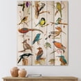 thumbnail image 1 of Designart 'Vital Colored Birds Plancard' Traditional Print on Natural Pine Wood, 1 of 5