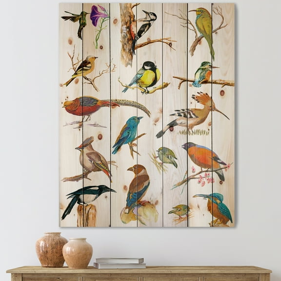 Designart 'Vital Colored Birds Plancard' Traditional Print on Natural Pine Wood