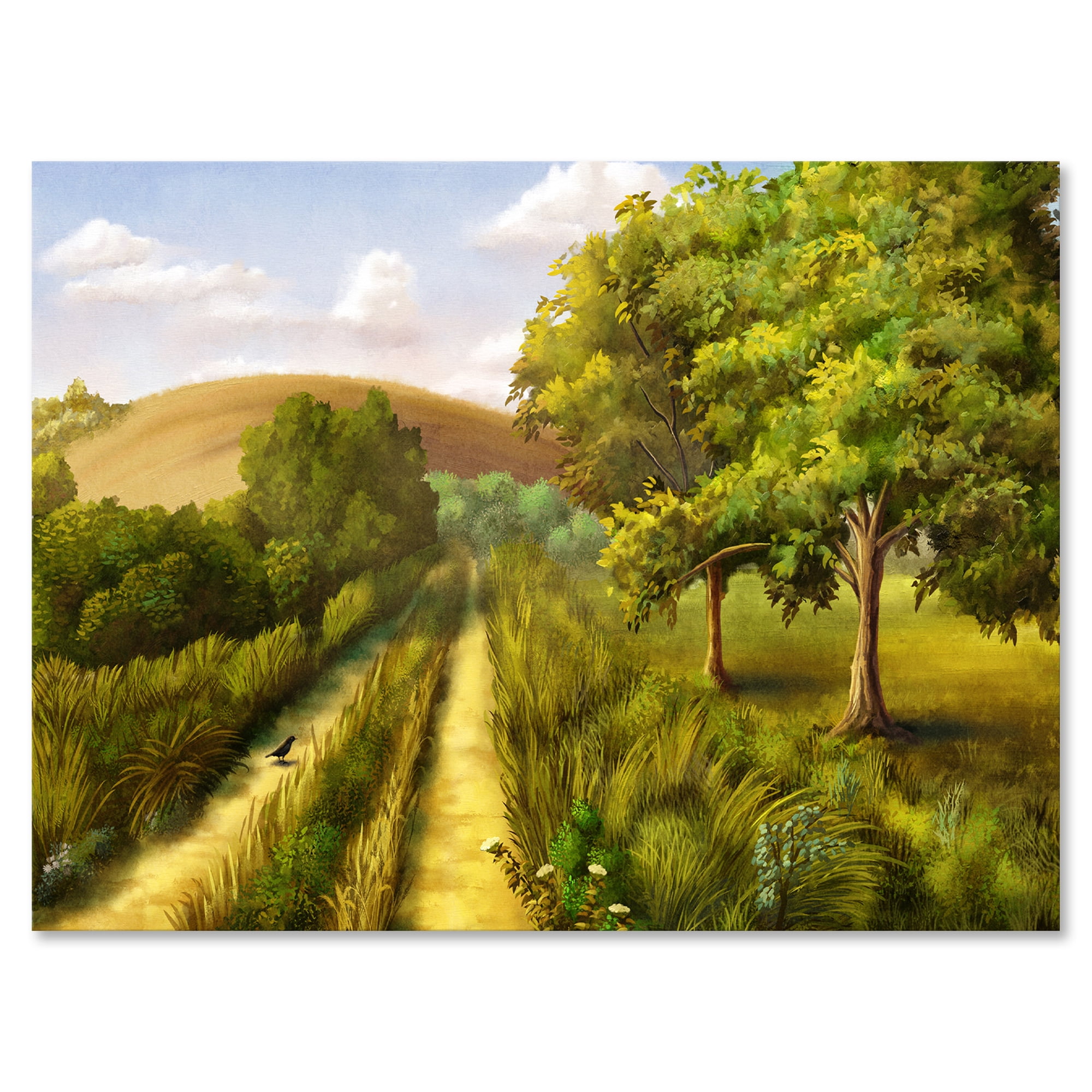 Designart ' Vital Country Road During Summer ' Traditional Canvas Wall Art Print