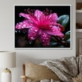 thumbnail image 1 of Designart "Vivid Fuchsia Blooms Nature s Splendor I" Floral Floater Framed Canvas Wall Art, 1 of 7