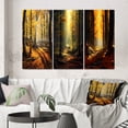 thumbnail image 1 of Designart "Warm Autumn Sunlight Illuminating the Forest I" Forest Wall Art Set Of 3 - Traditional Yellow Canvas Set For Living Room Decor, 1 of 6