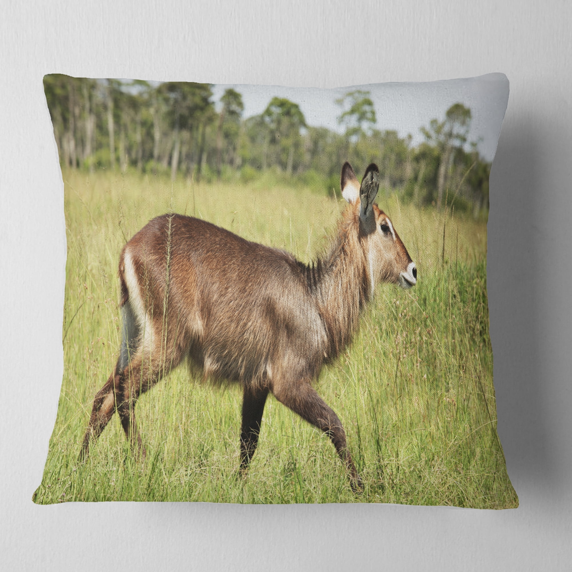 Designart Waterbuck Antelope in Green Grass - African Throw Pillow - 18x18