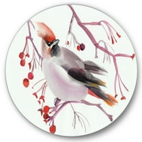 Designart 'Waxwing Bird Sitting On A Branch' Traditional Circle Metal Wall Art 36x36 - Disc of 36