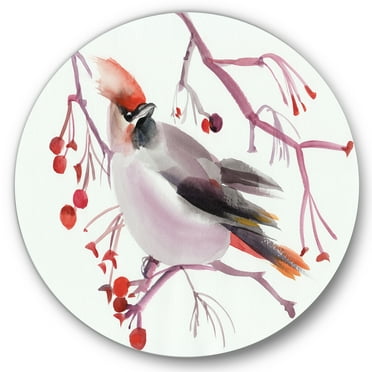 Designart 'Waxwing Bird Sitting On A Branch' Traditional Circle Metal Wall Art 36x36 - Disc of 36