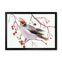 Designart 'Waxwing Bird Sitting On A Branch' Traditional Framed Art Print