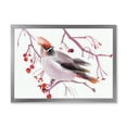 thumbnail image 1 of Designart 'Waxwing Bird Sitting On A Branch' Traditional Framed Art Print, 1 of 4