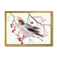 thumbnail image 1 of Designart 'Waxwing Bird Sitting On A Branch' Traditional Framed Art Print, 1 of 4