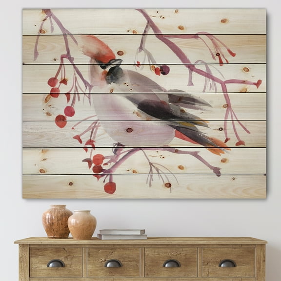 Designart 'Waxwing Bird Sitting On A Branch' Traditional Print on Natural Pine Wood