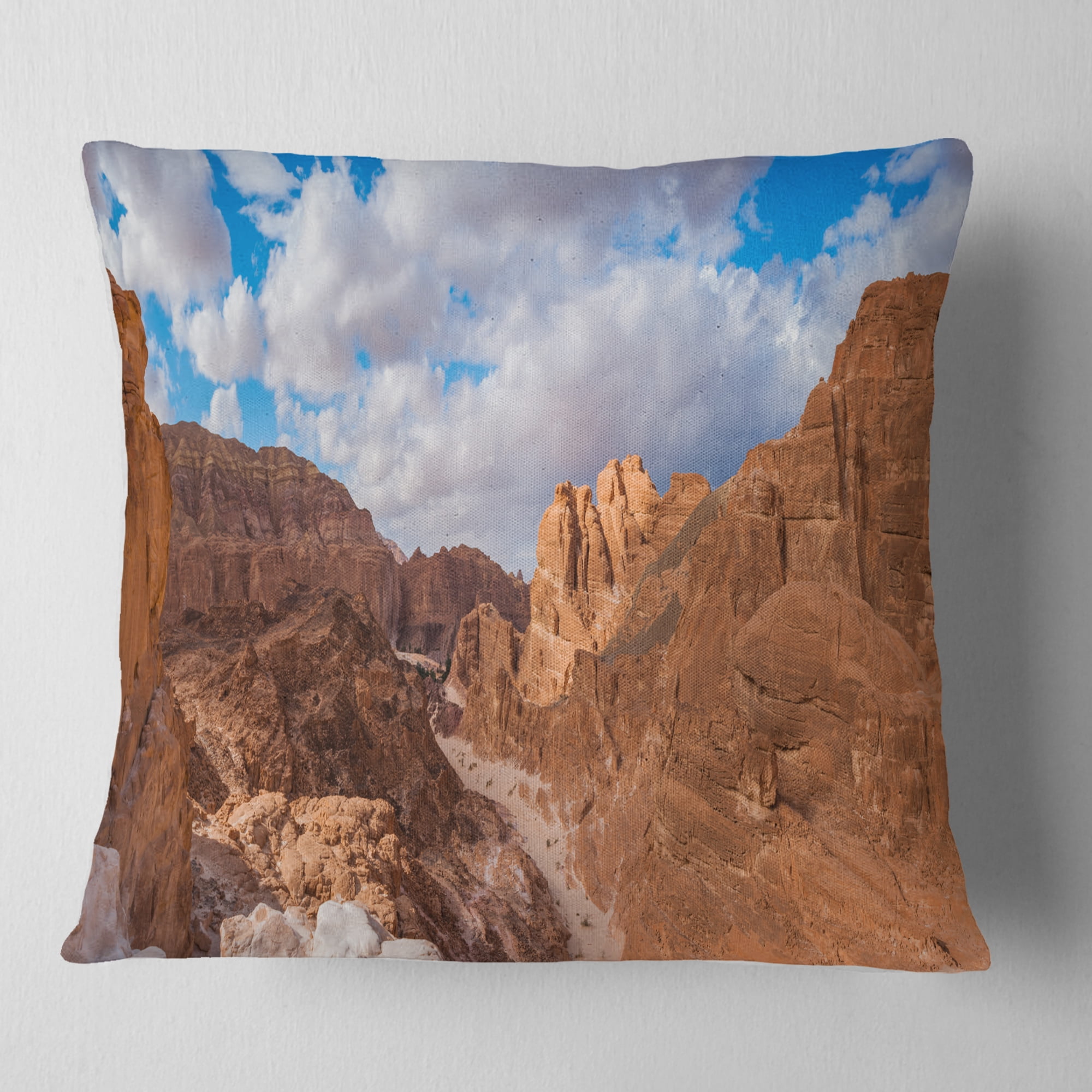 Designart White Canyon at South Sinai Egypt - Landscape Printed Throw Pillow - 16x16