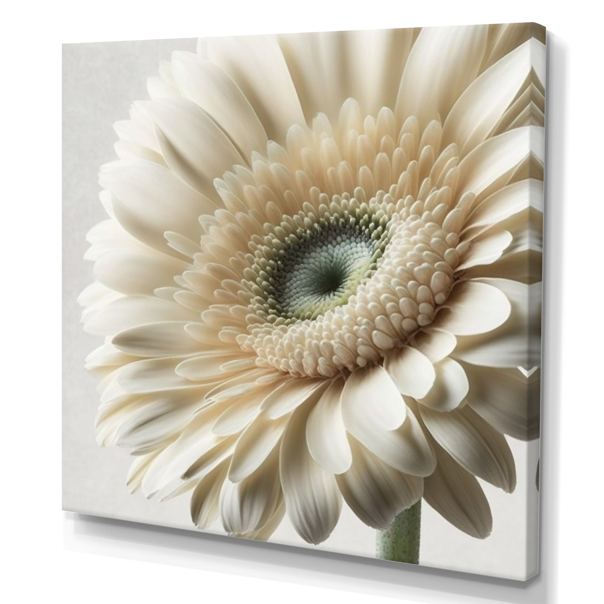 Designart White Gerbera Flower III Canvas Wall Art