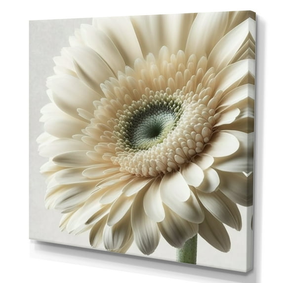 Designart White Gerbera Flower III Canvas Wall Art