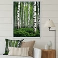 thumbnail image 1 of Designart "White Green Birch Tree I" Landscape & Nature Floater Framed Canvas Wall Art, 1 of 7