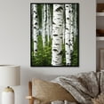 thumbnail image 1 of Designart "White Green Birch Tree III" Landscape & Nature Floater Framed Wall Art Living Room, 1 of 7