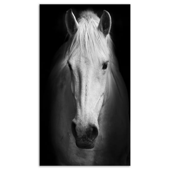 Designart 'White Horse Black and White ' Animal Canvas Art Print