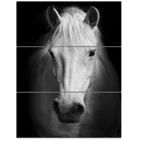 Designart 'White Horse Black and White ' Animal Canvas Art Print
