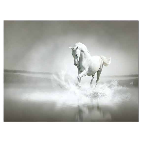 Designart 'White Horse Running in Water ' Animal Canvas Art Print