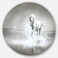thumbnail image 1 of Designart 'White Horse Running in Water' Ultra Glossy Animal Oversized Metal Circle Wall Art, 1 of 5