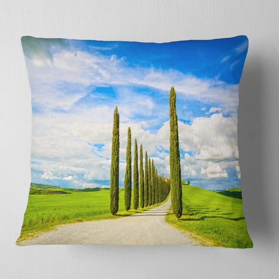 Designart White Road through Cypress Trees - Landscape Wall Throw Pillow - 18x18
