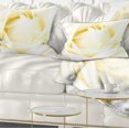 thumbnail image 1 of Designart White Rose with Close Up Petals - Floral Throw Pillow - 12x20, 1 of 1