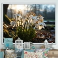 thumbnail image 1 of Designart "White Snowdrops landscape III" Floral Floater Framed Canvas Print, 1 of 7