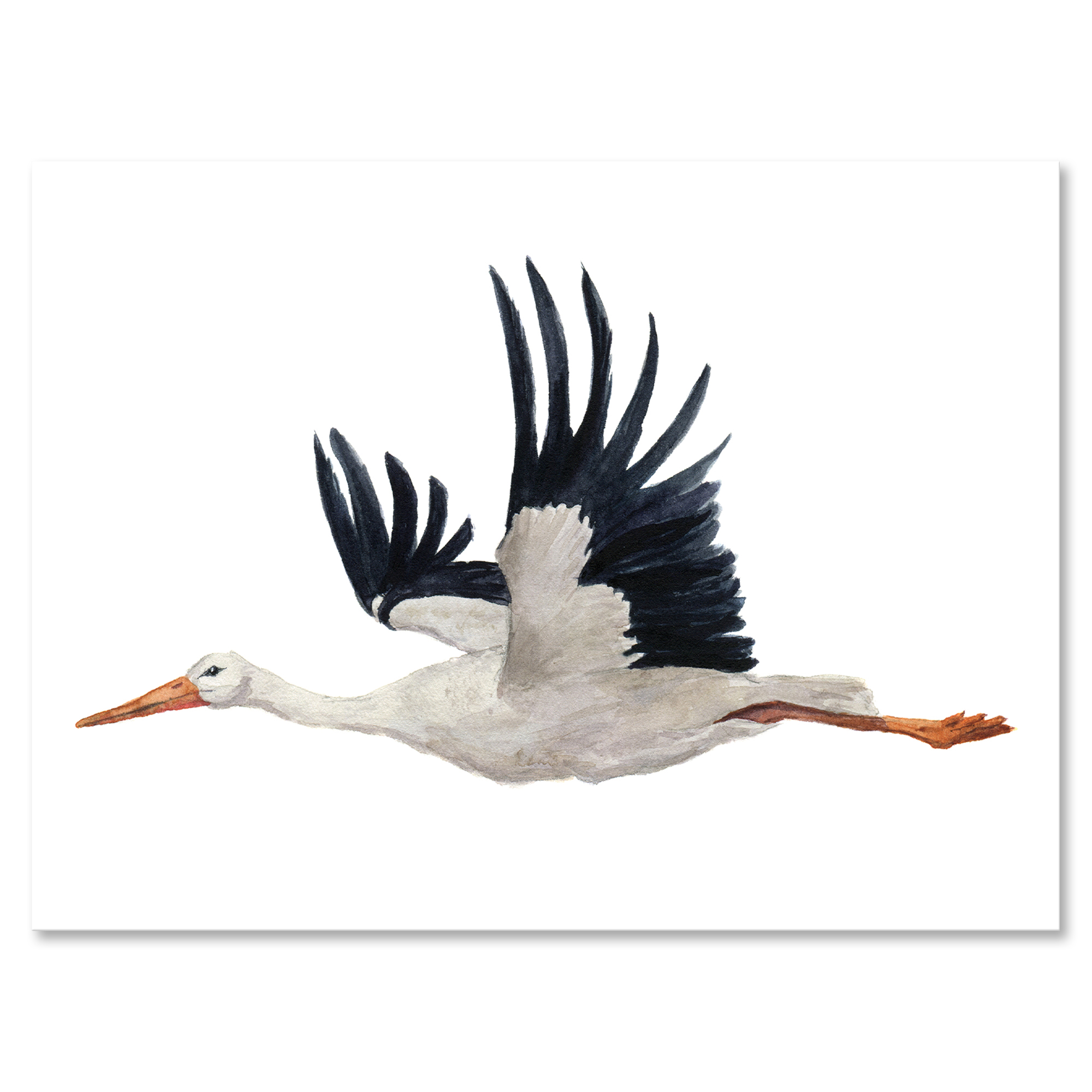 Designart ' White Stork Ciconia Flying Bird ' Traditional Canvas Wall Art Print