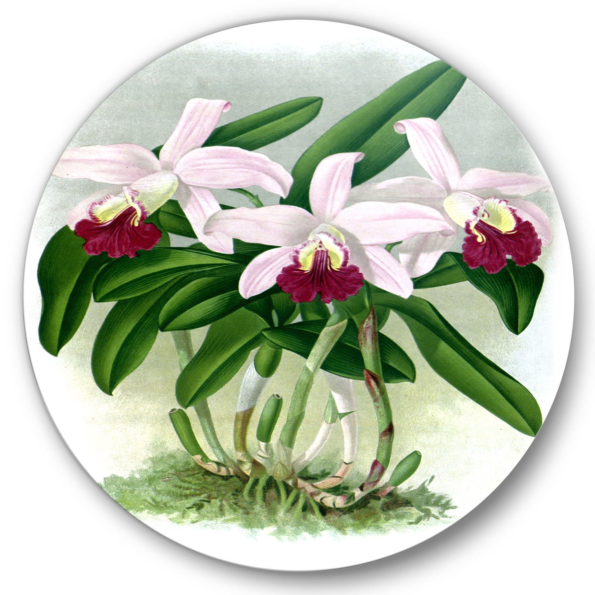 Designart 'White Vintage Orchid Flower I' Traditional Circle Metal Wall Art 29x29 - Disc of 29