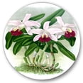 thumbnail image 1 of Designart 'White Vintage Orchid Flower I' Traditional Circle Metal Wall Art 29x29 - Disc of 29, 1 of 5
