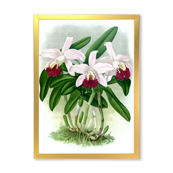 Designart 'White Vintage Orchid Flower I' Traditional Framed Art Print