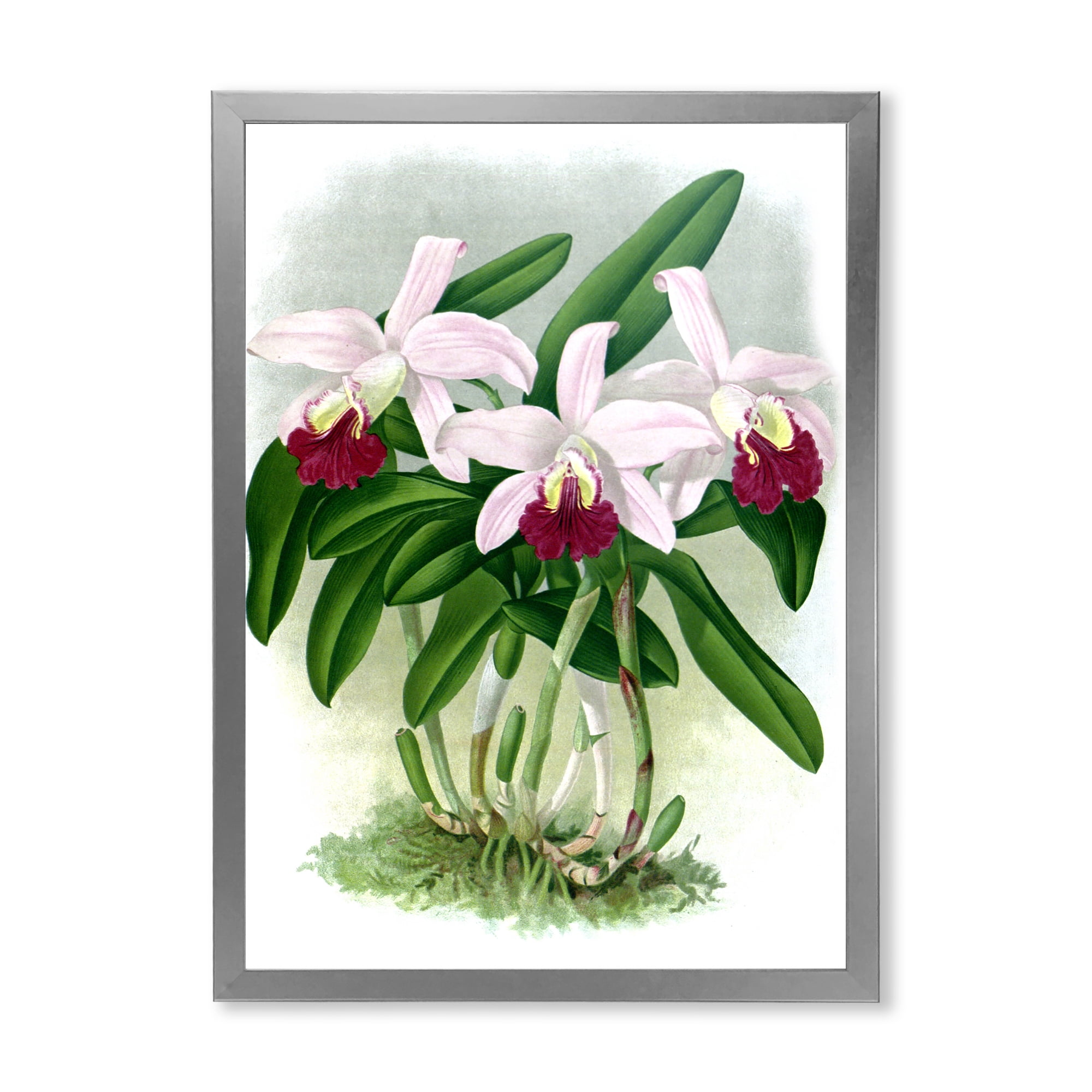 Designart 'White Vintage Orchid Flower I' Traditional Framed Art Print
