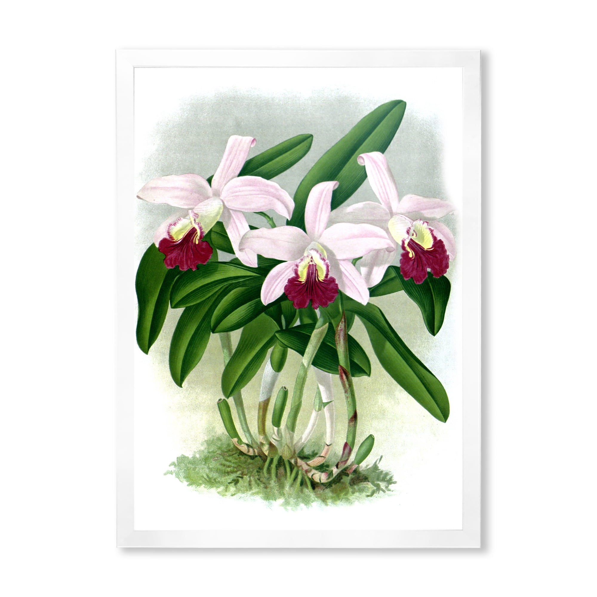 Designart 'White Vintage Orchid Flower I' Traditional Framed Art Print