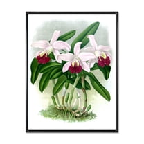 Designart 'White Vintage Orchid Flower I' Traditional Framed Canvas Wall Art Print