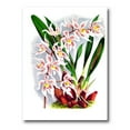thumbnail image 1 of Designart ' White Vintage Orchid Flower II ' Traditional Canvas Wall Art Print, 1 of 4
