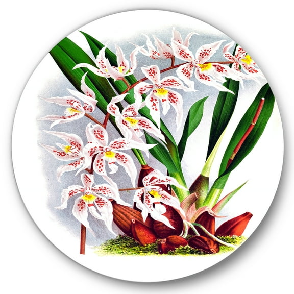 Designart 'White Vintage Orchid Flower II' Traditional Circle Metal Wall Art 36x36 - Disc of 36