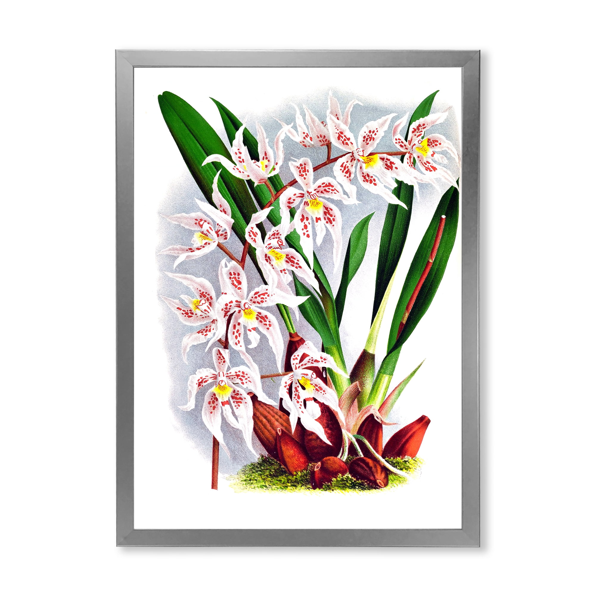 Designart 'White Vintage Orchid Flower II' Traditional Framed Art Print