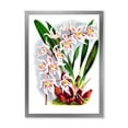 thumbnail image 1 of Designart 'White Vintage Orchid Flower II' Traditional Framed Art Print, 1 of 4