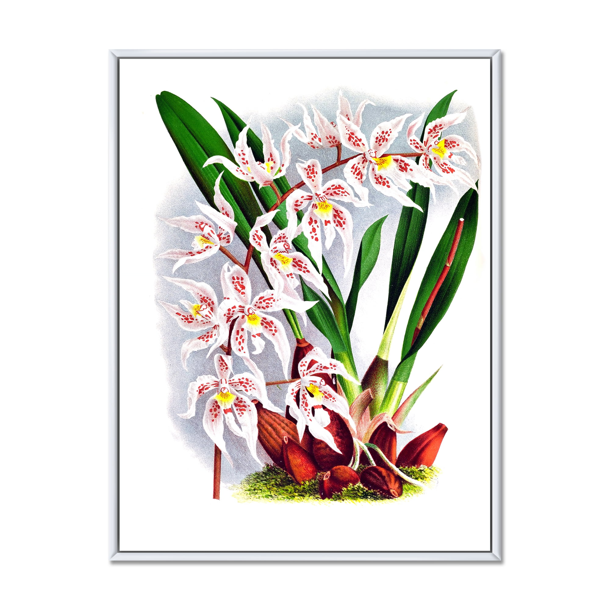 Designart 'White Vintage Orchid Flower II' Traditional Framed Canvas Wall Art Print