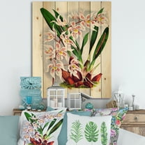 Designart 'White Vintage Orchid Flower II' Traditional Print on Natural Pine Wood