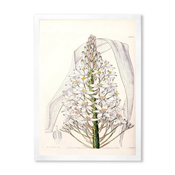 Designart 'White Vintage Orchid I' Traditional Framed Art Print