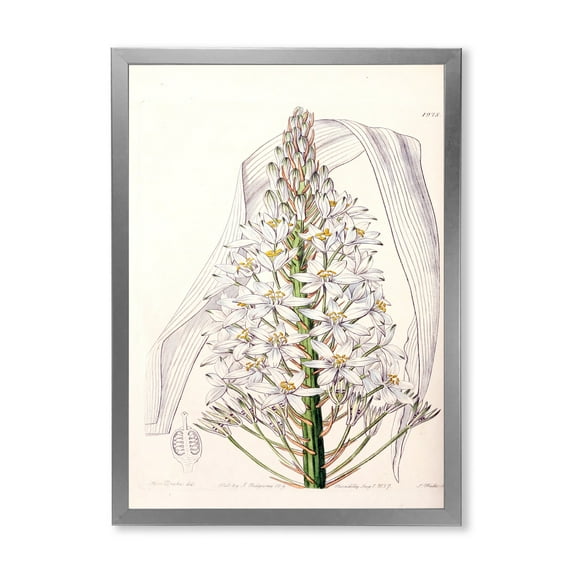 Designart 'White Vintage Orchid I' Traditional Framed Art Print