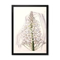 thumbnail image 1 of Designart 'White Vintage Orchid I' Traditional Framed Art Print, 1 of 4