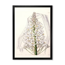 Designart 'White Vintage Orchid I' Traditional Framed Art Print
