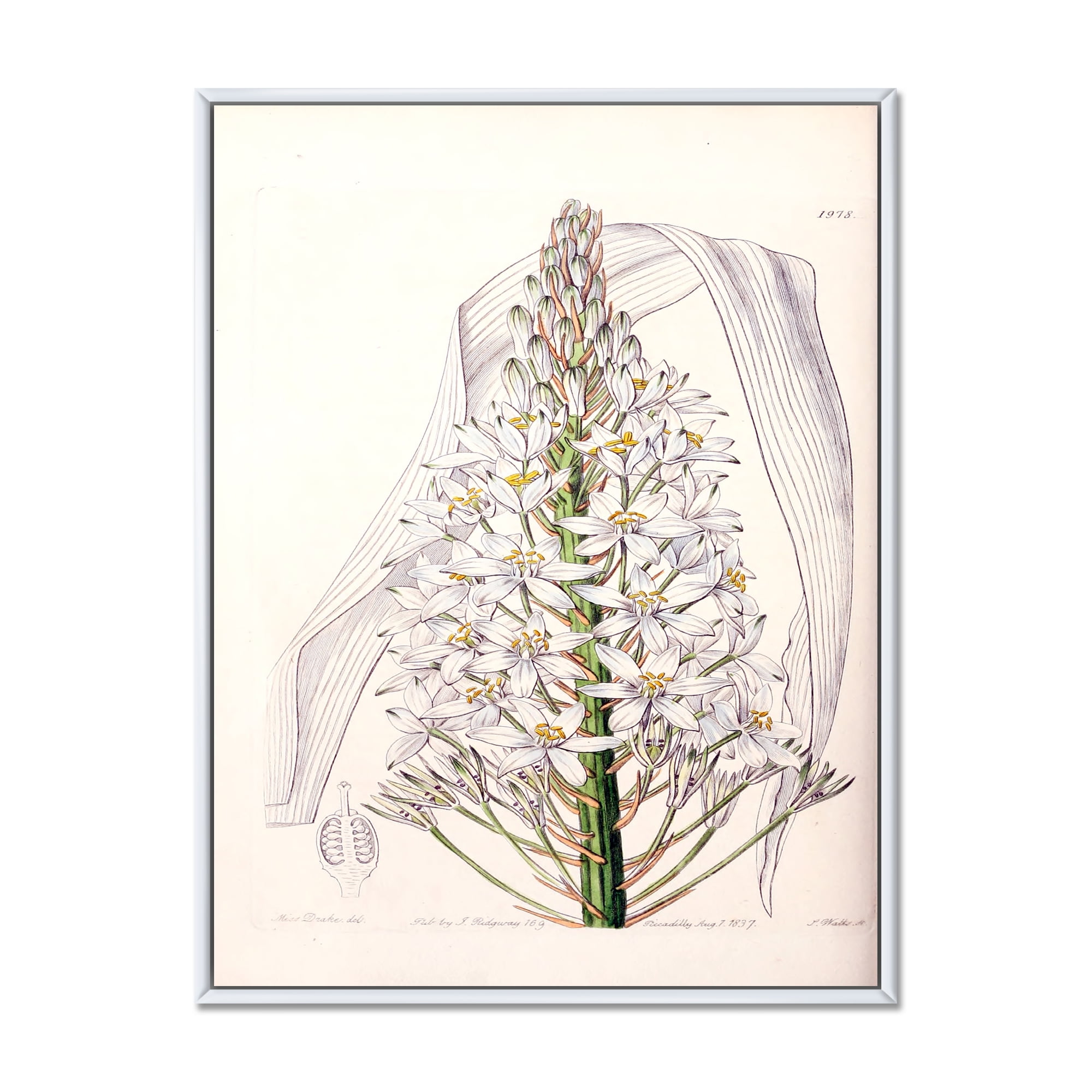 Designart 'White Vintage Orchid I' Traditional Framed Canvas Wall Art Print