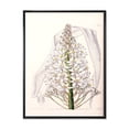 thumbnail image 1 of Designart 'White Vintage Orchid I' Traditional Framed Canvas Wall Art Print, 1 of 5