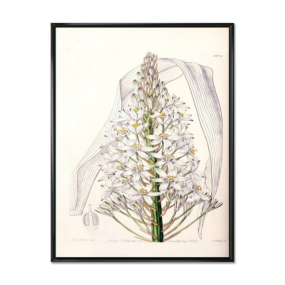Designart 'White Vintage Orchid I' Traditional Framed Canvas Wall Art Print