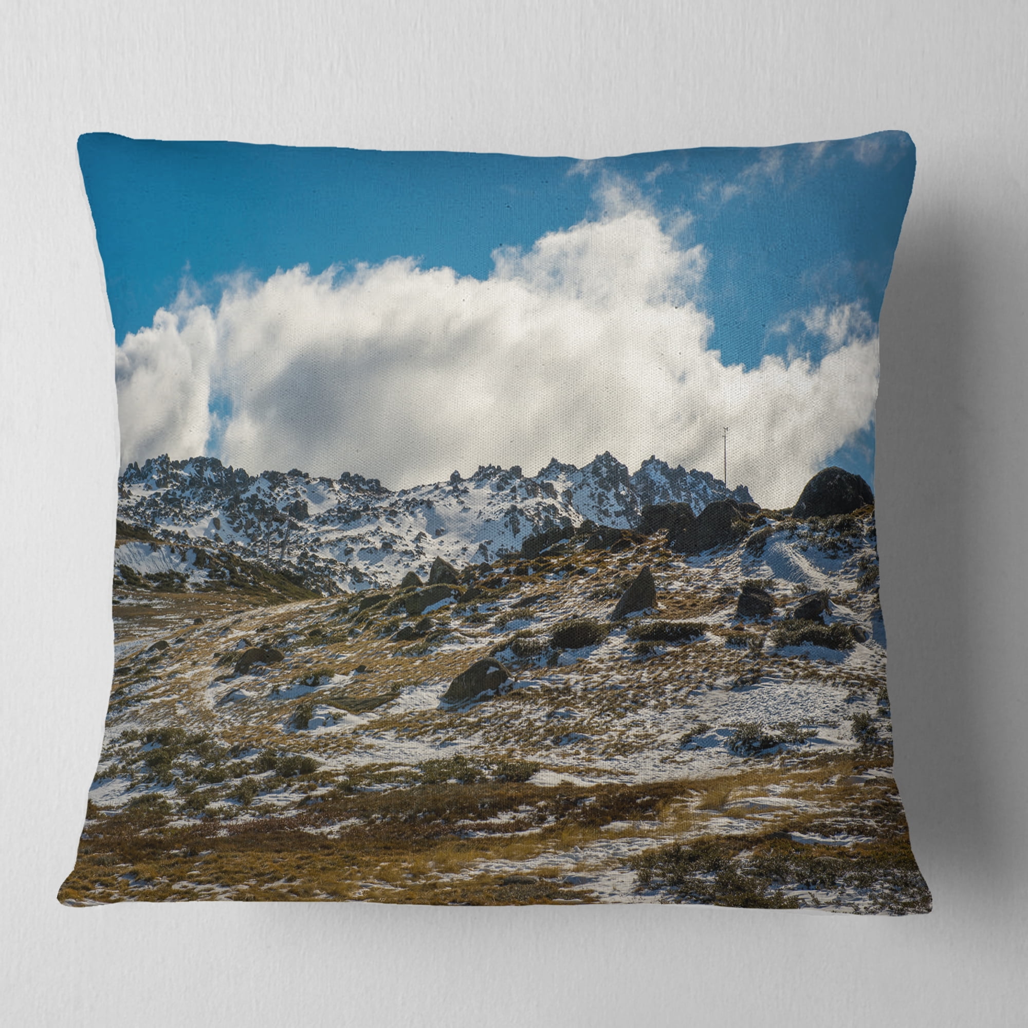 Designart Wide View of Kosciuszko National Park - Seashore Throw Pillow - 18x18