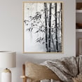 thumbnail image 1 of Designart "Wild Bamboo In Black And White I" Bamboo Floater Framed Canvas Prints, 1 of 5