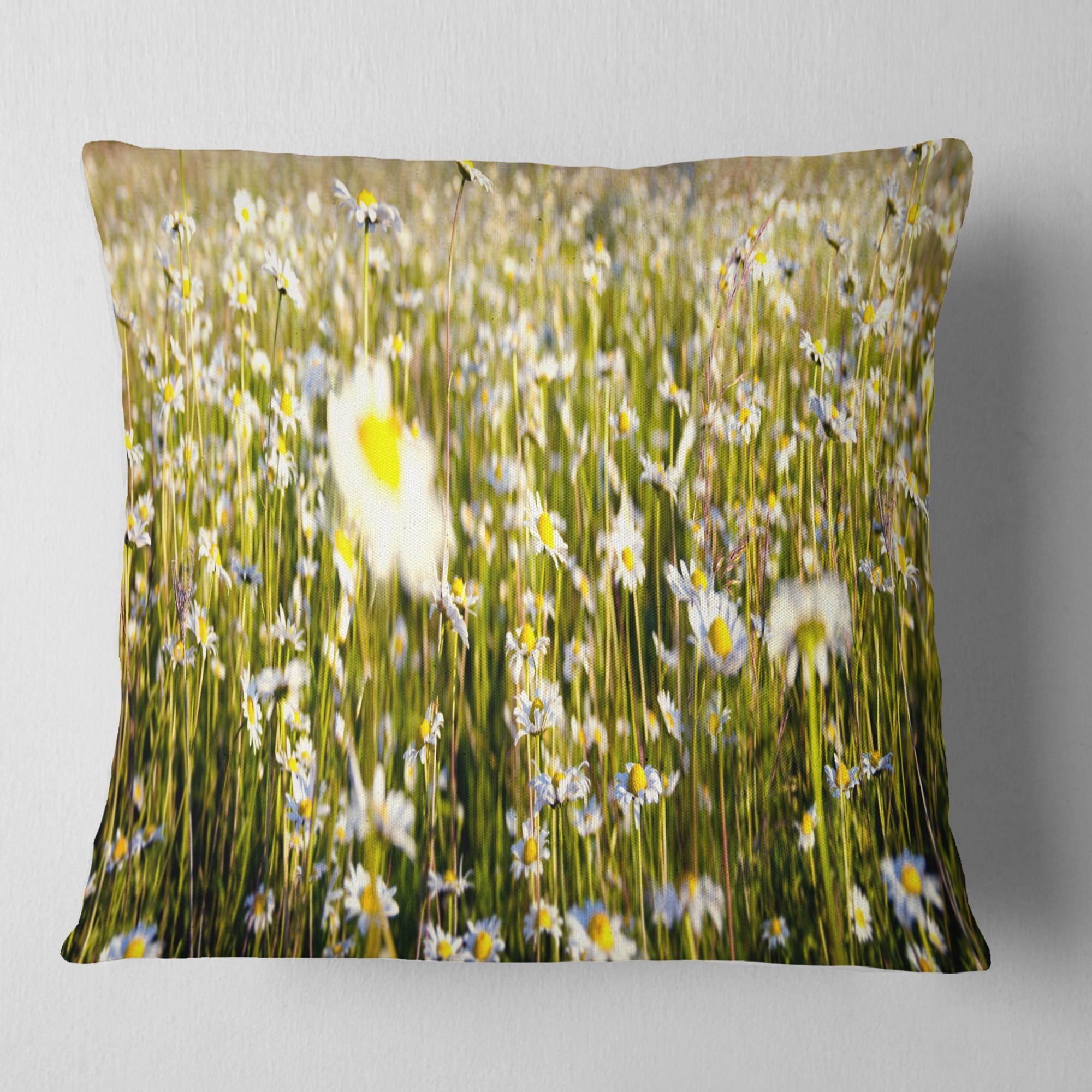Designart Wild Chamomile Flowers Field - Flower Throw Pillow - 16x16