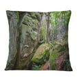 thumbnail image 1 of Designart Wild Deep Moss Forest Ukraine - Landscape Printed Throw Pillow - 12x20, 1 of 1