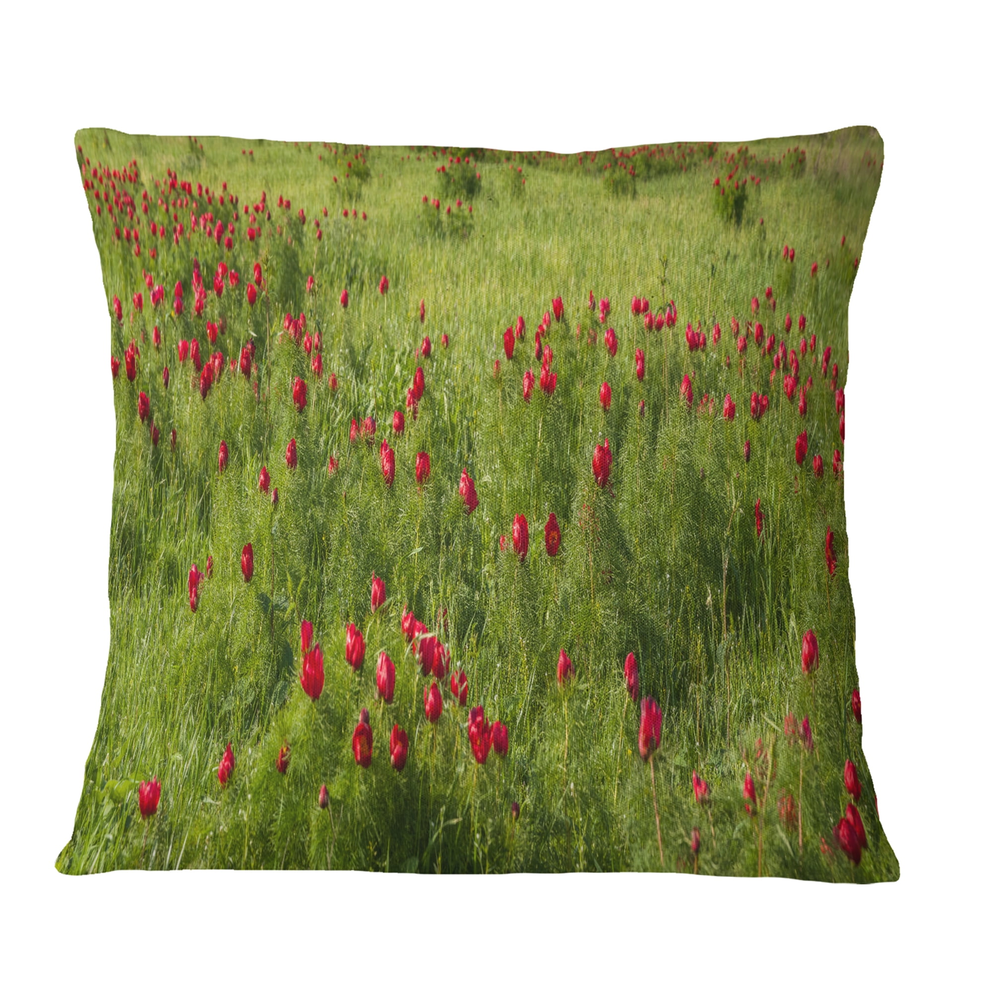 Designart Wild Peonies Flower in Steppe - Modern Landscape Printed Throw Pillow - 12x20
